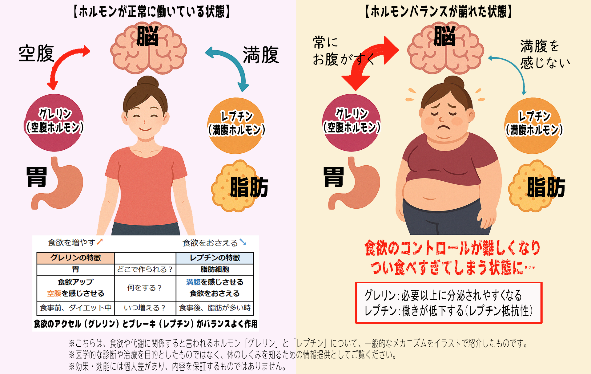 2.健康的に美しく痩せる